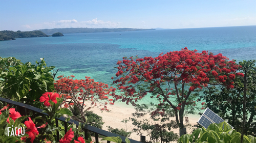 1571020630756565.jpg 20.jpg