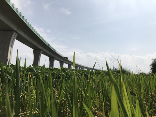 1571188128314261.jpg 9.jpg