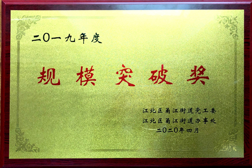 02  誠晖集團榮獲甬江街(jiē)道(dào)頒發的(de)2019年(nián)度“規模突破獎”.jpg
