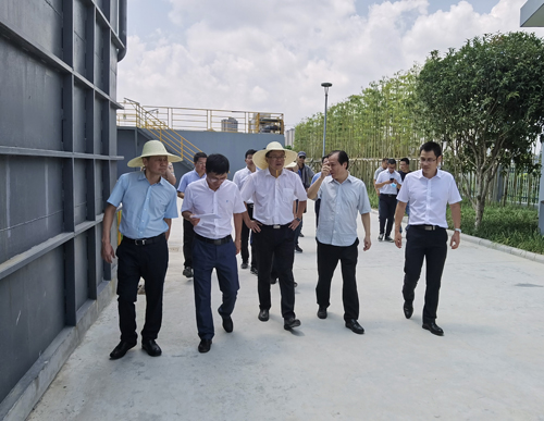 1599272522735963.jpg 2.jpg