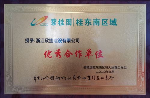 1602752221898884.jpg “優秀合作(zuò)單位”榮譽獎牌.jpg