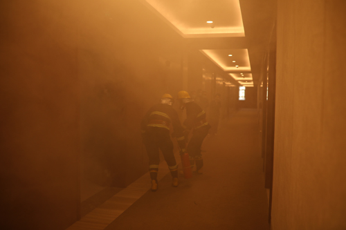 1636013962570029.jpg 9X1A4902.JPG