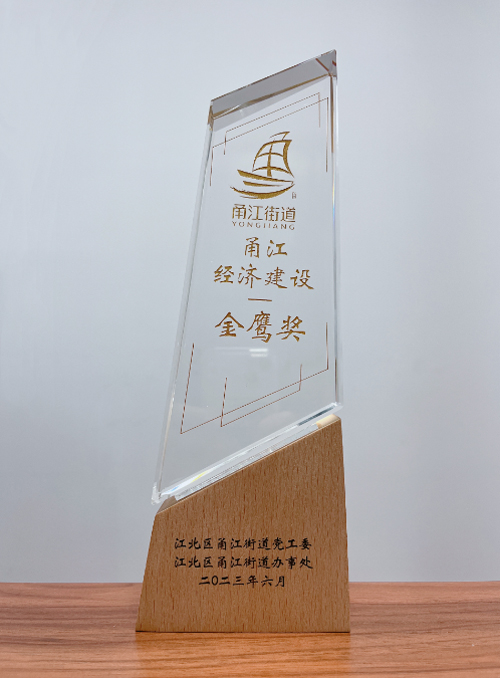 04  林(lín)總榮獲“甬江優秀企業(yè)家(jiā)金(jīn)鷹獎”.jpg